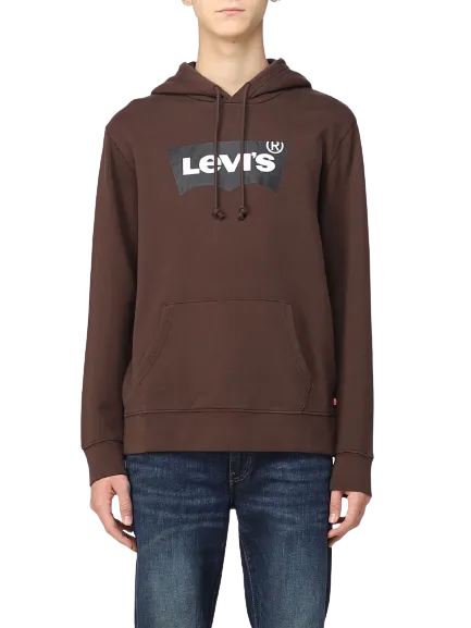 LEVI'S STANDARD GRAPHIC HOODIE 38424-0020