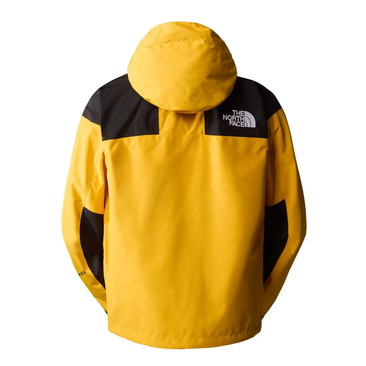 THE NORTH FACE GTX Mountain Jkt Uomo