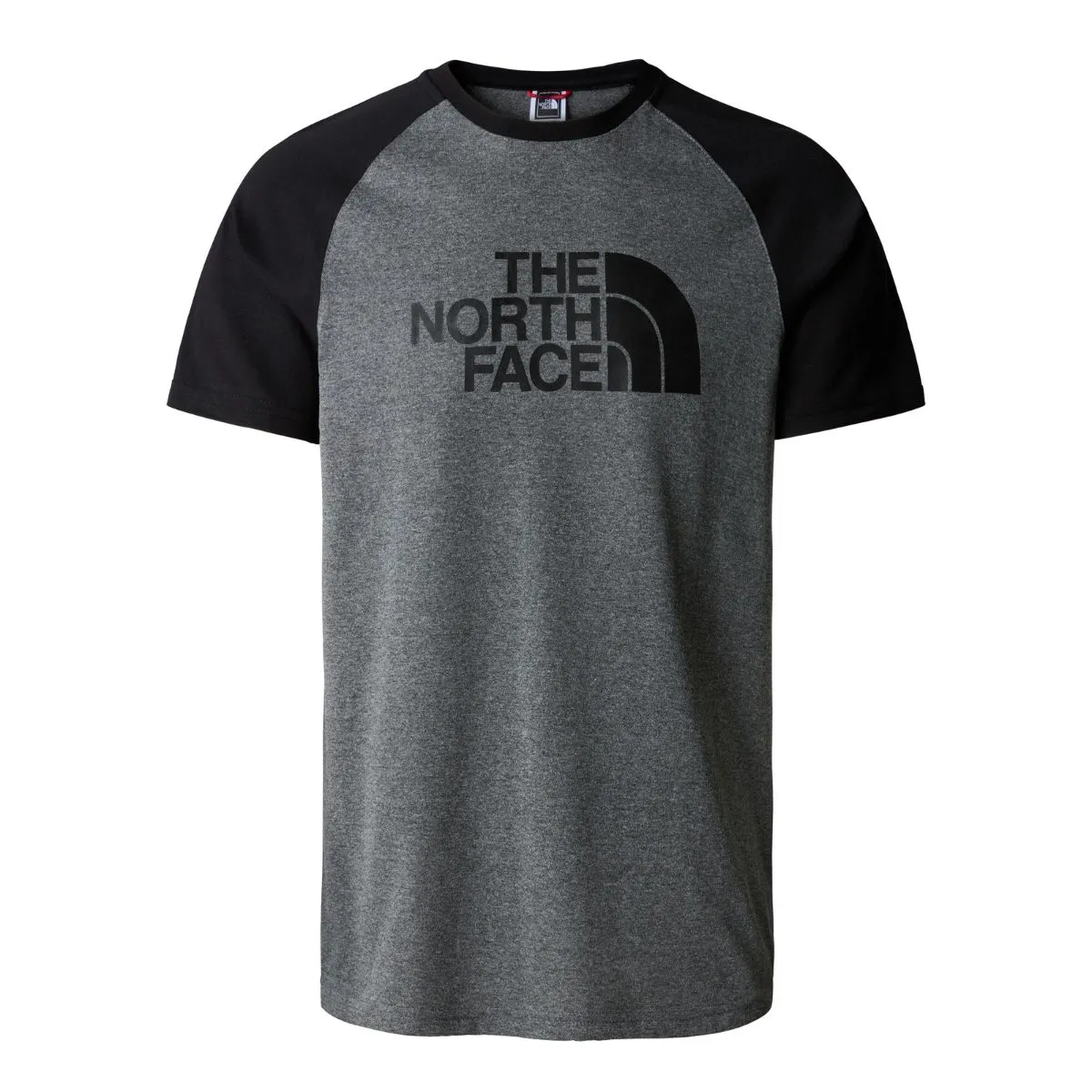 THE NORTH FACE Raglan Easy Tee Uomo