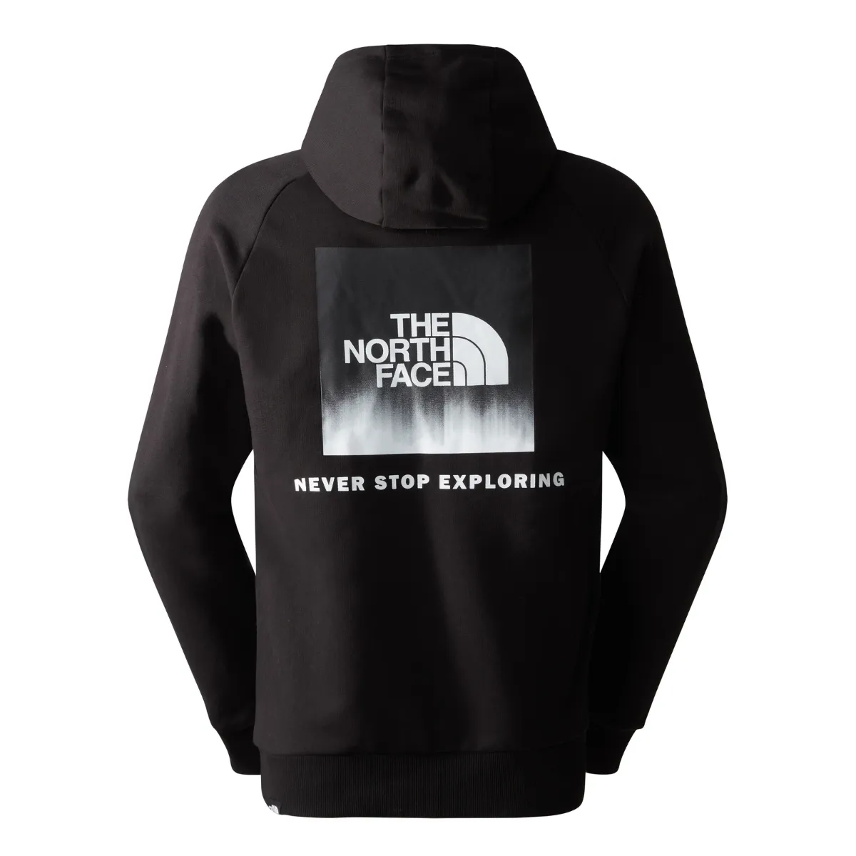 THE NORTH FACE Raglan Redbox Hoodie Uomo